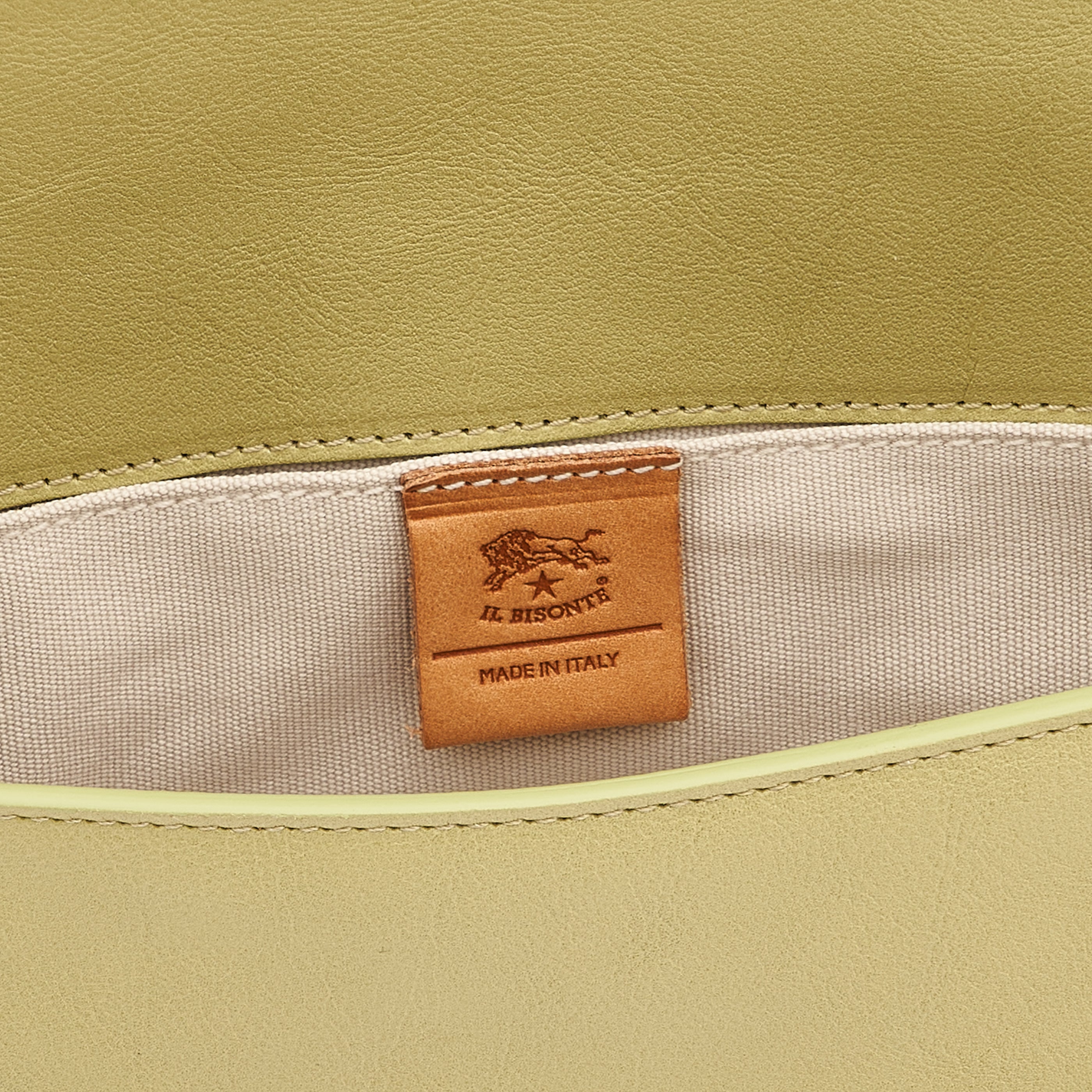 Studio | Women's crossbody bag in leather color pistachio